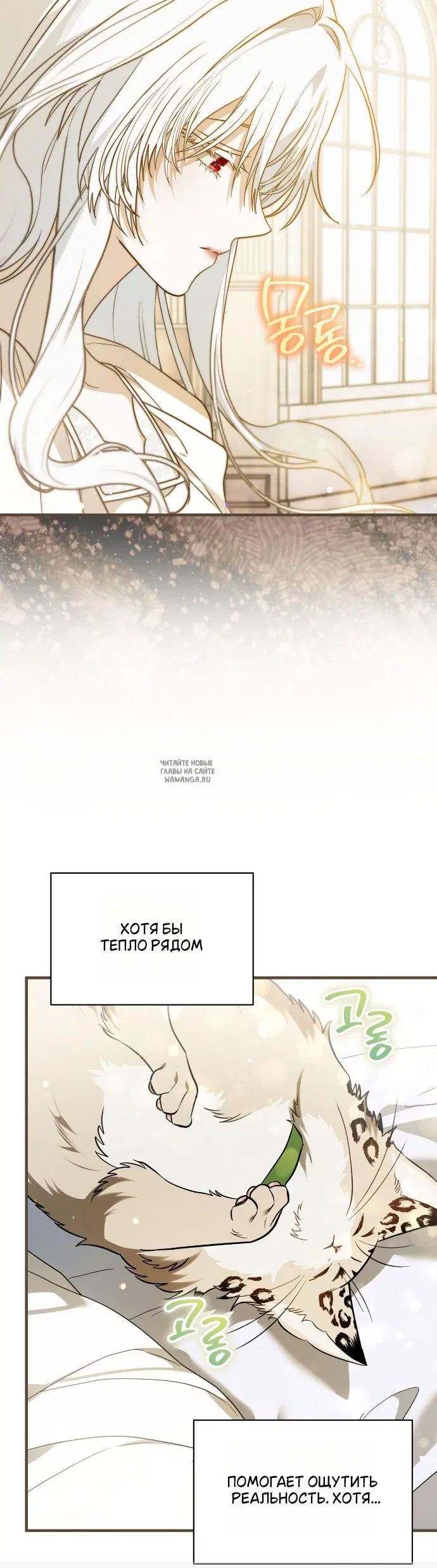 Page 21.000
