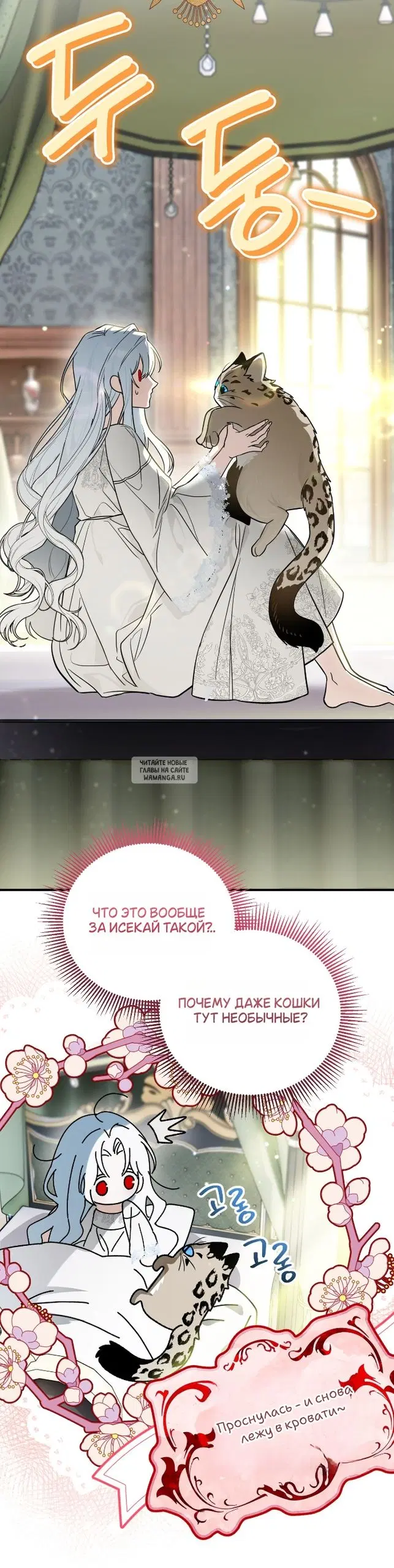 Page 3.000