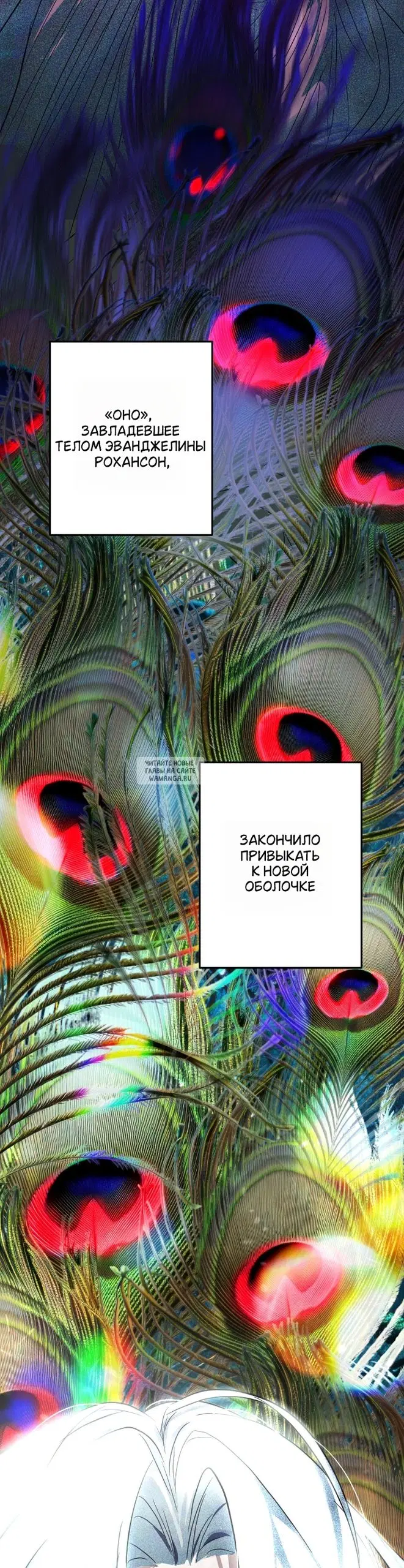 Page 91.000