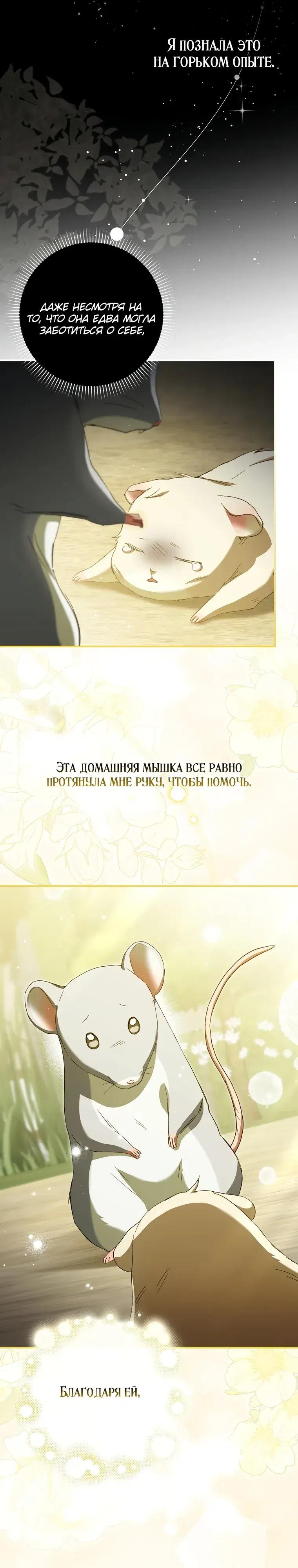 Page 19.000
