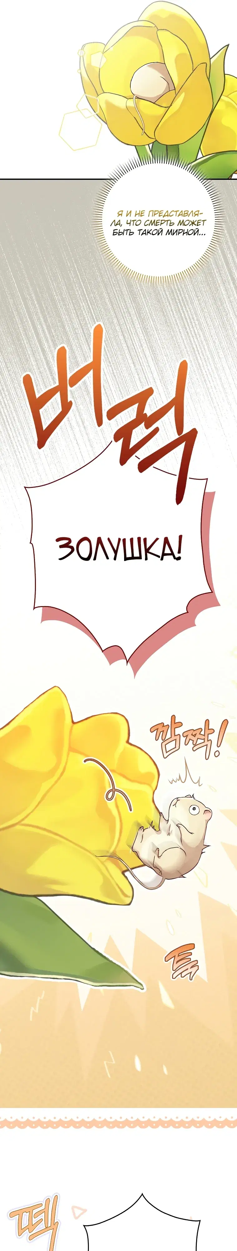Page 25.000
