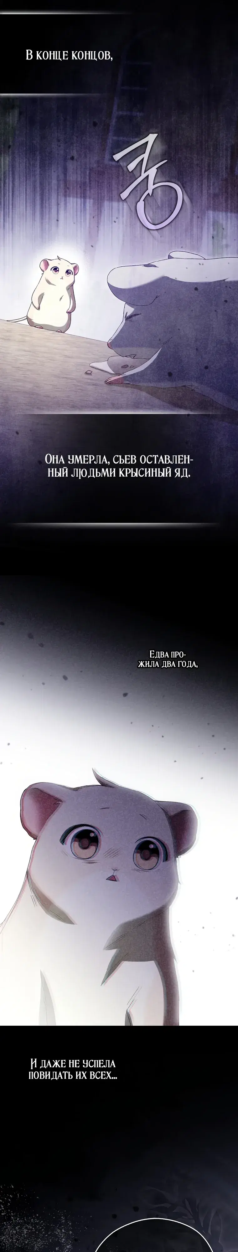 Page 21.000
