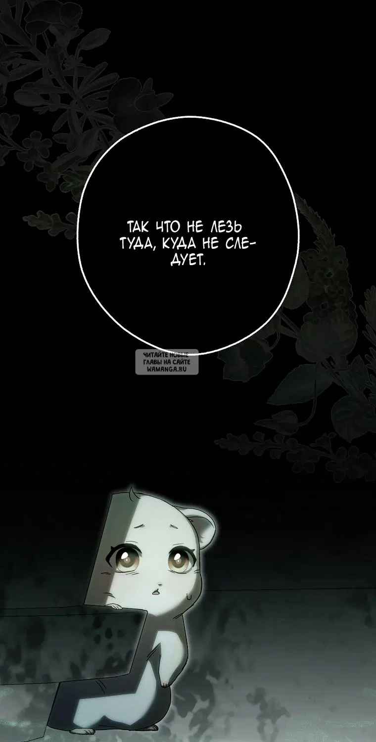 Page 34.000