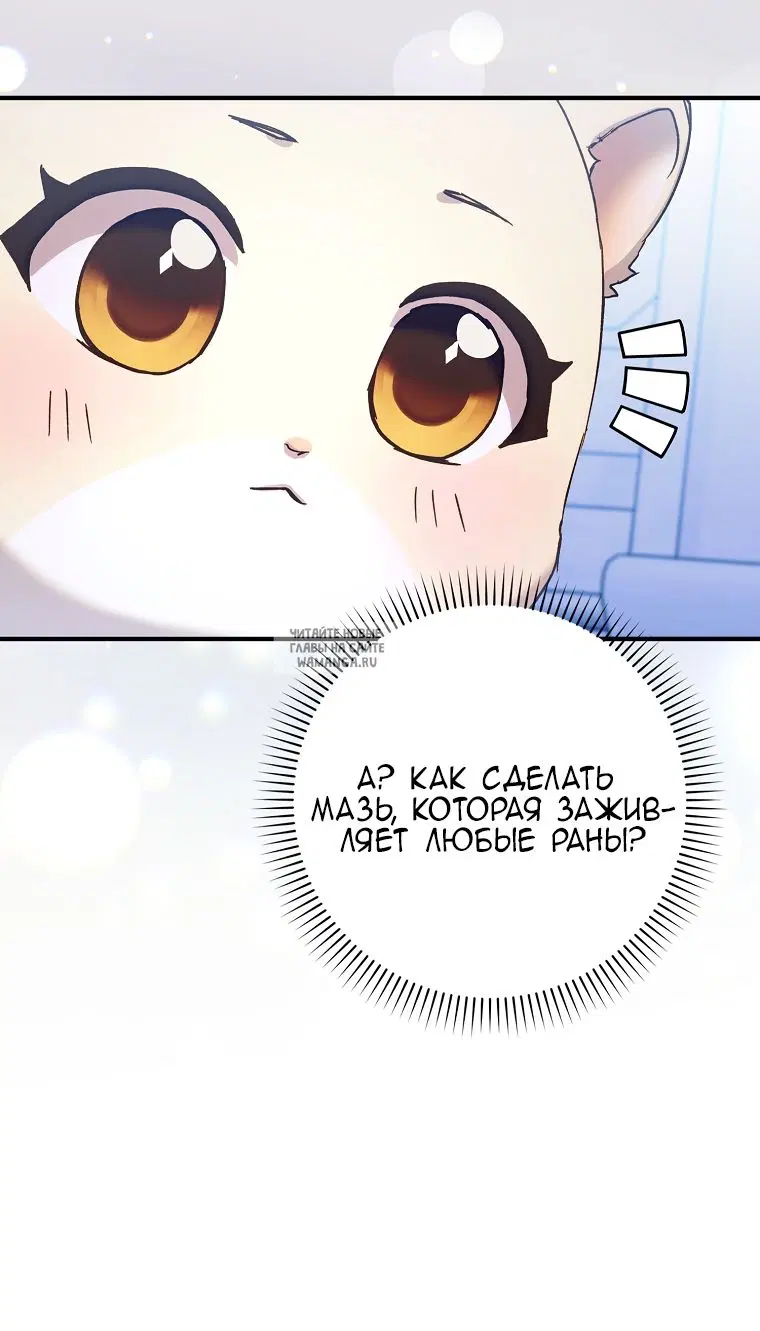 Page 39.000