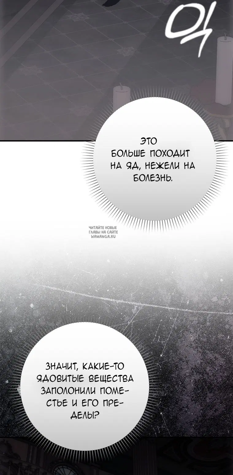 Page 55.000