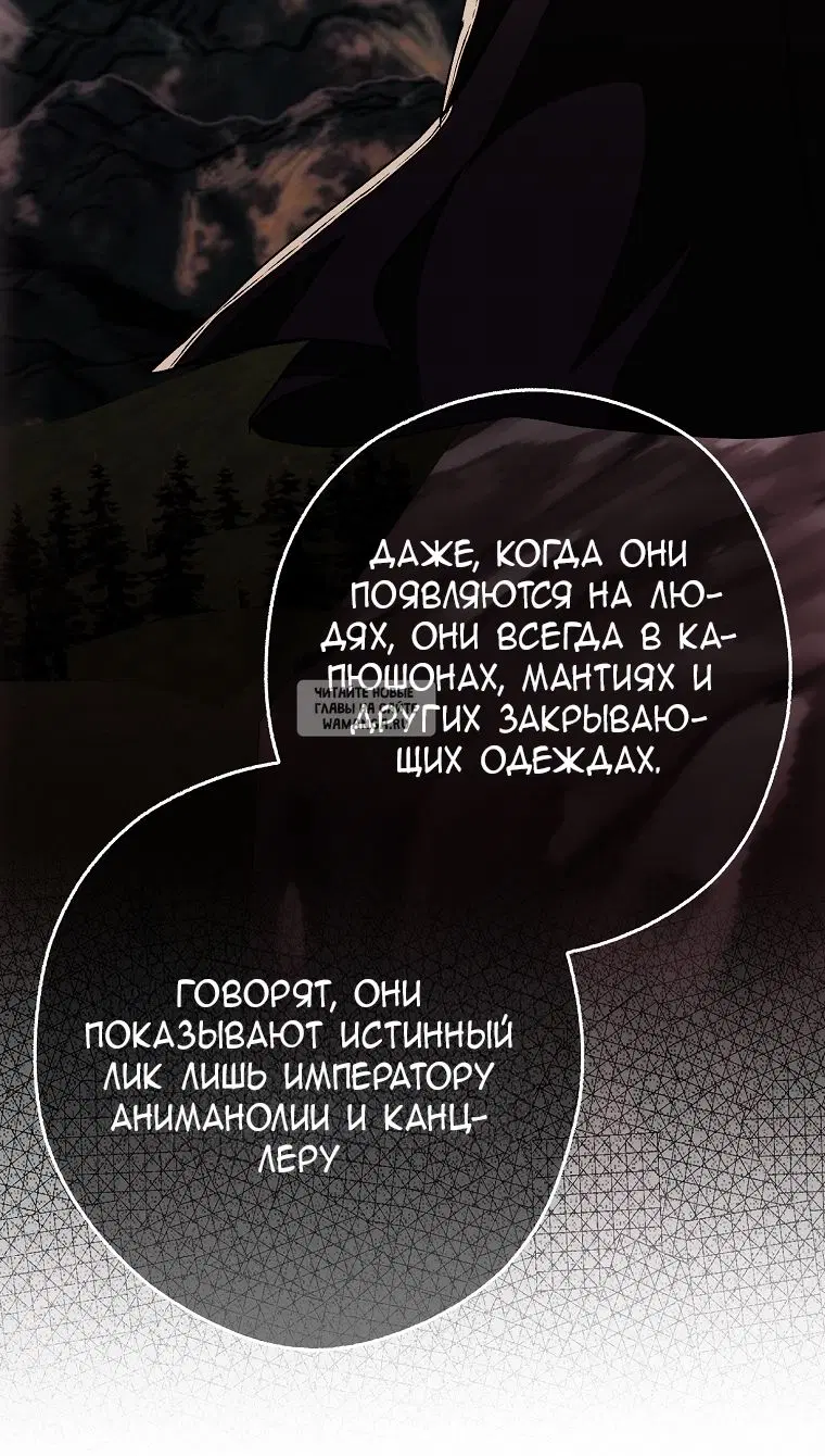 Page 50.000