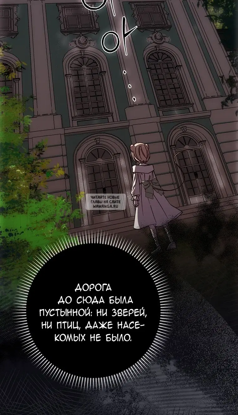 Page 50.000