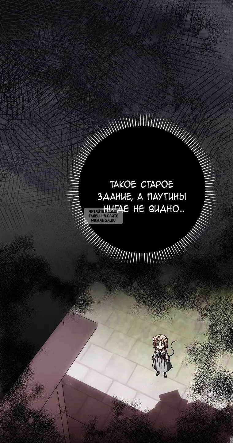 Page 51.000