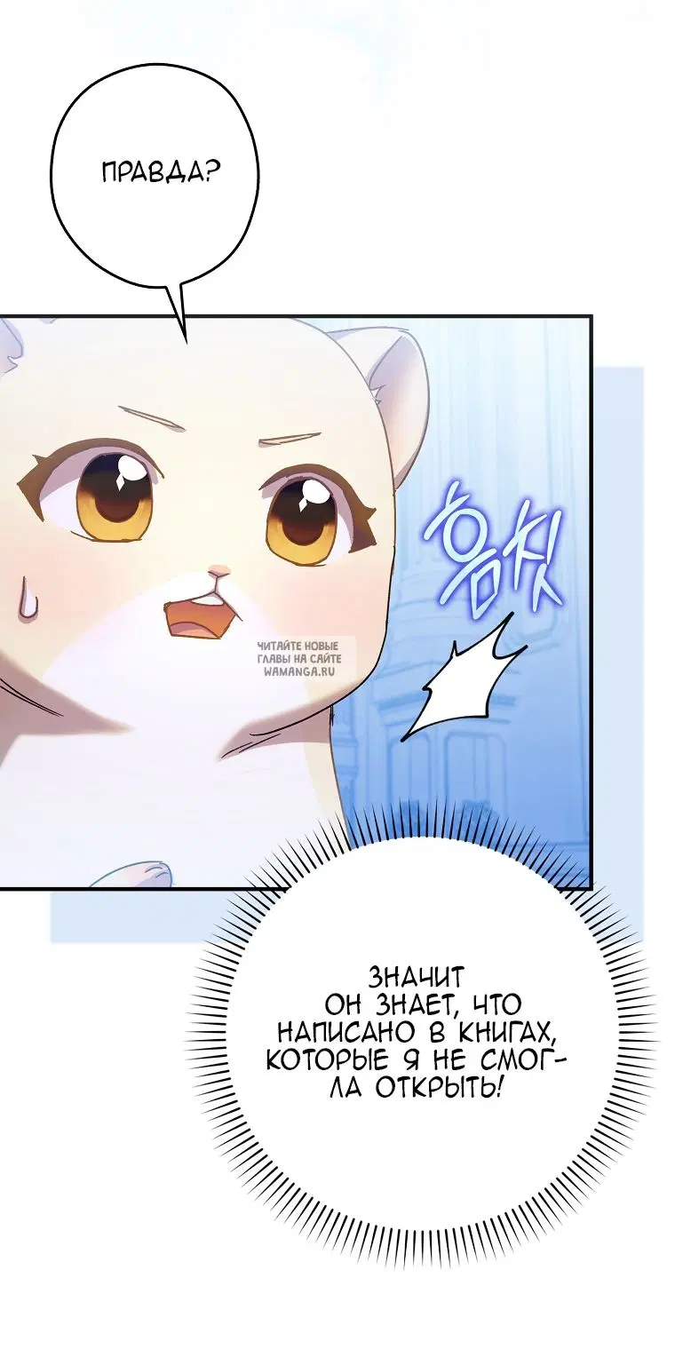 Page 51.000