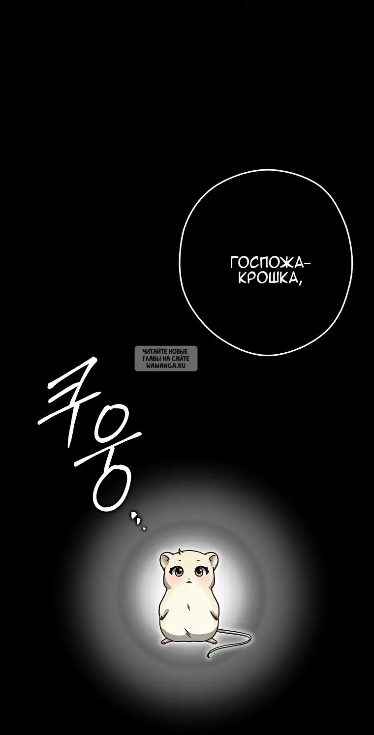 Page 65.000