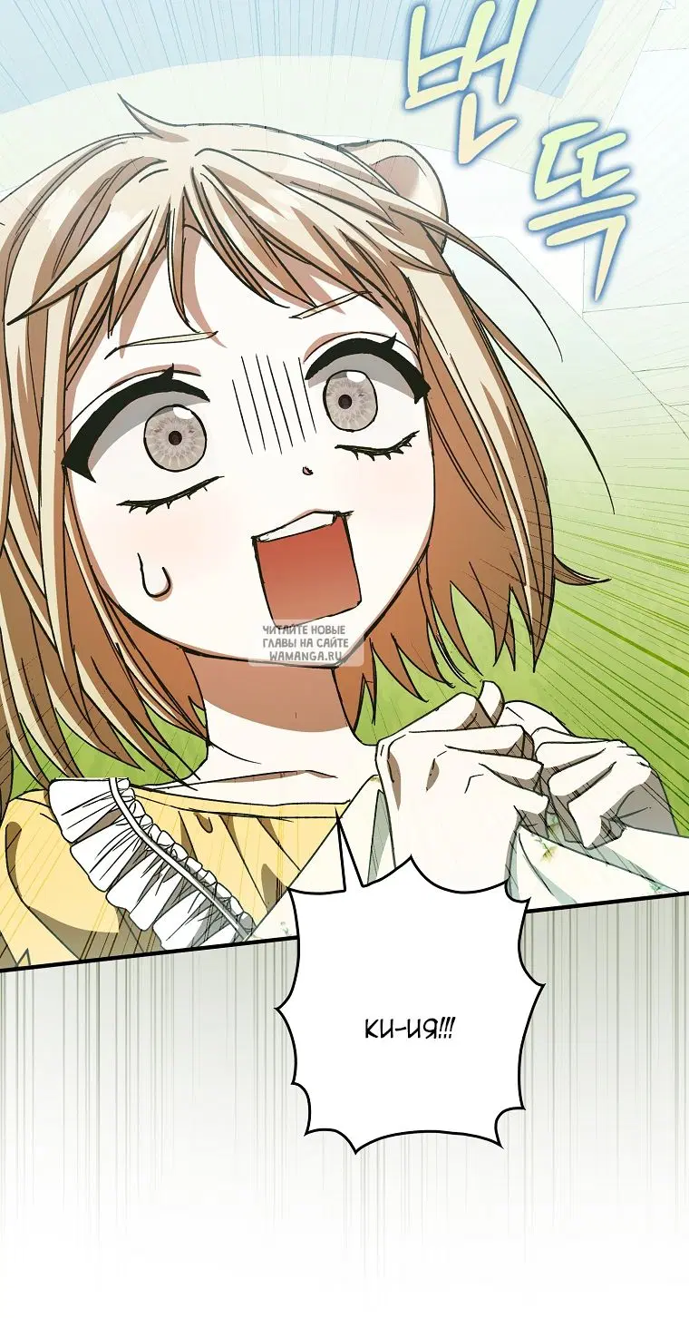 Page 81.000