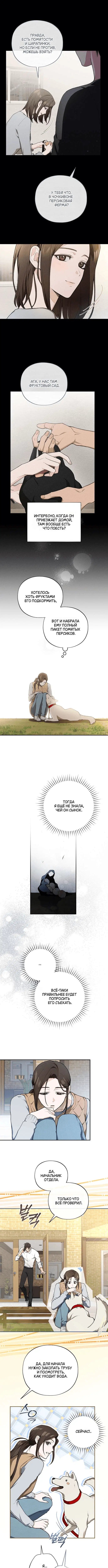 Page 3.000