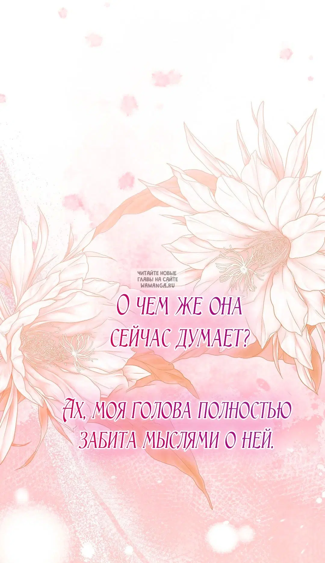 Page 41.000