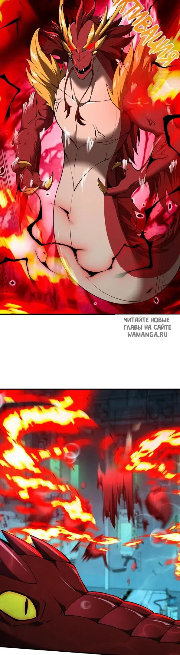 Page 20.000