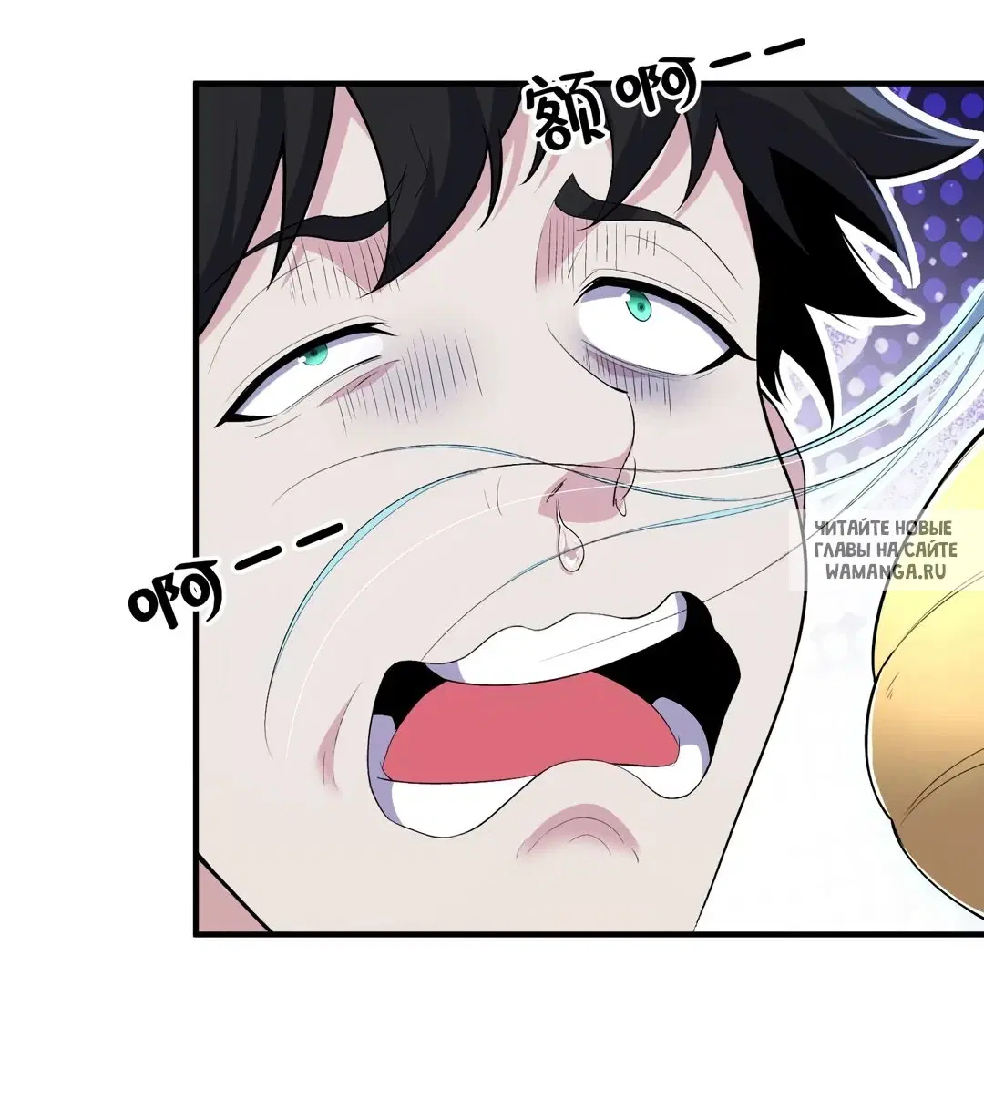 Page 31.000
