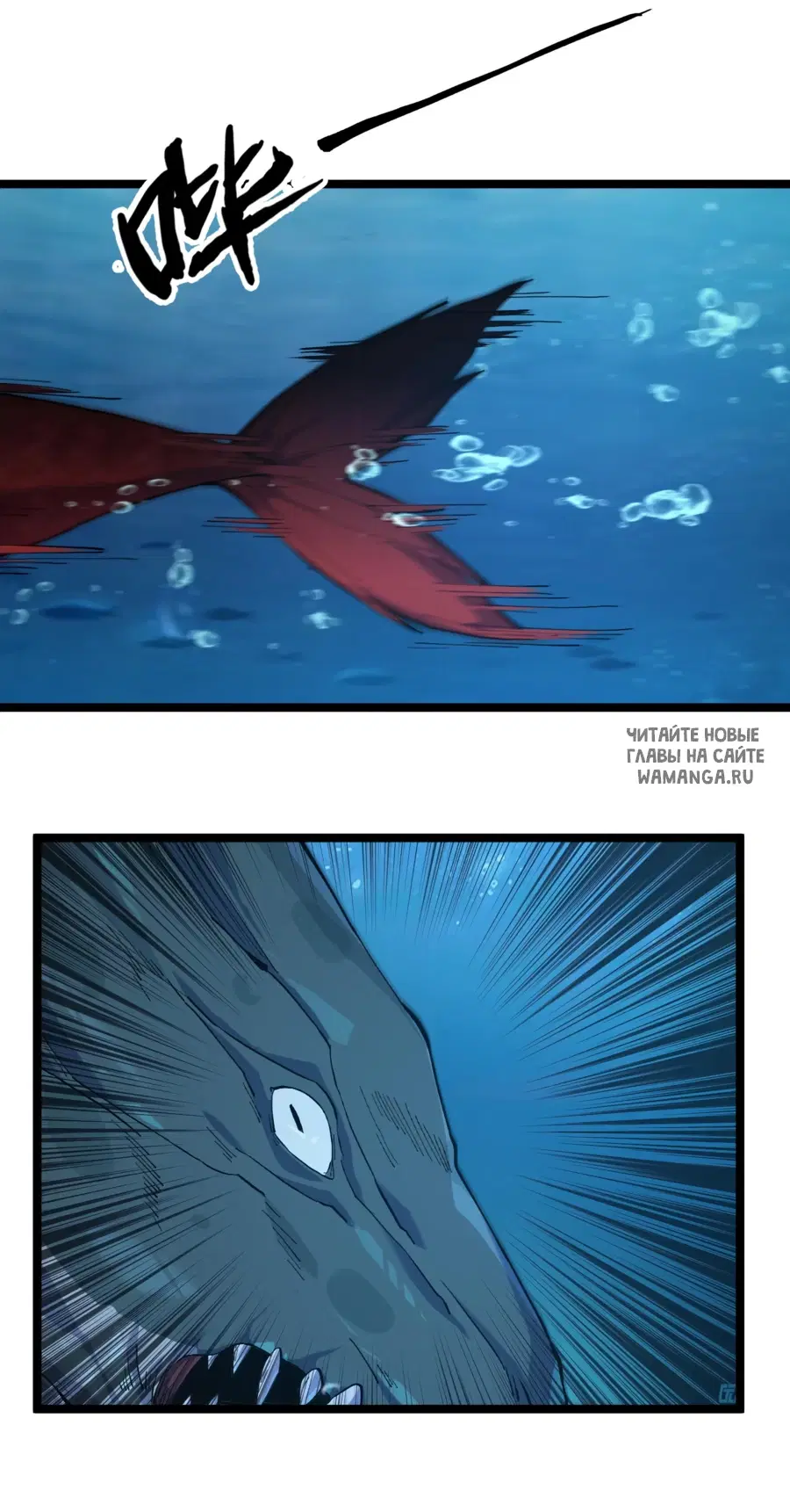 Page 50.000