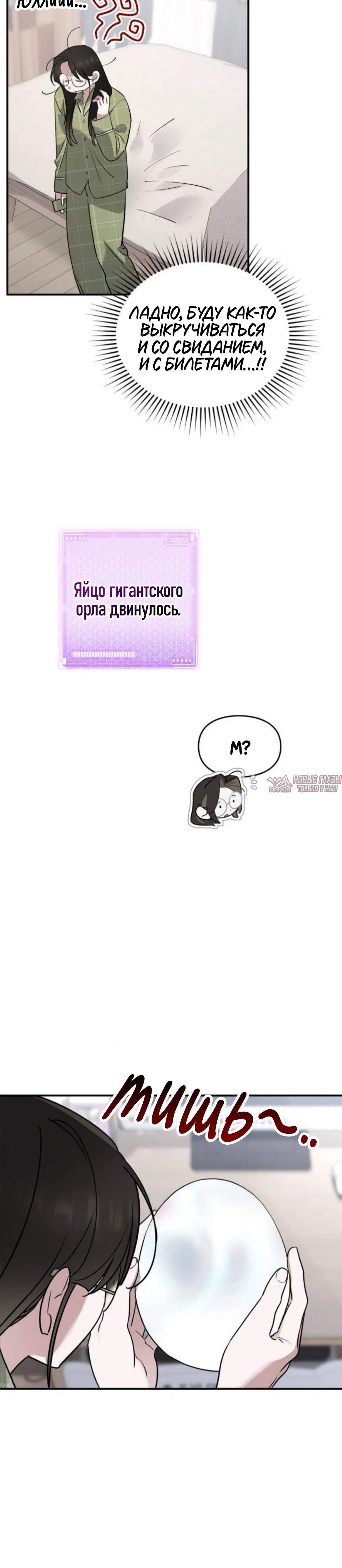 Page 6.001