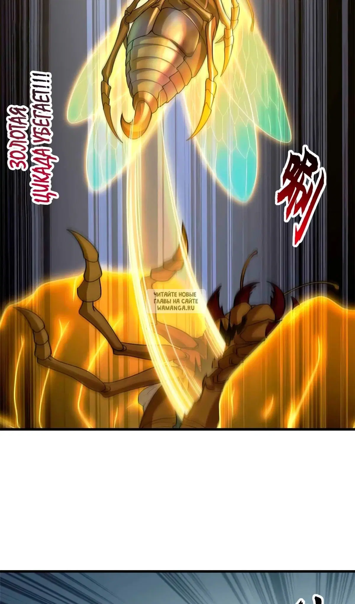 Page 21.000