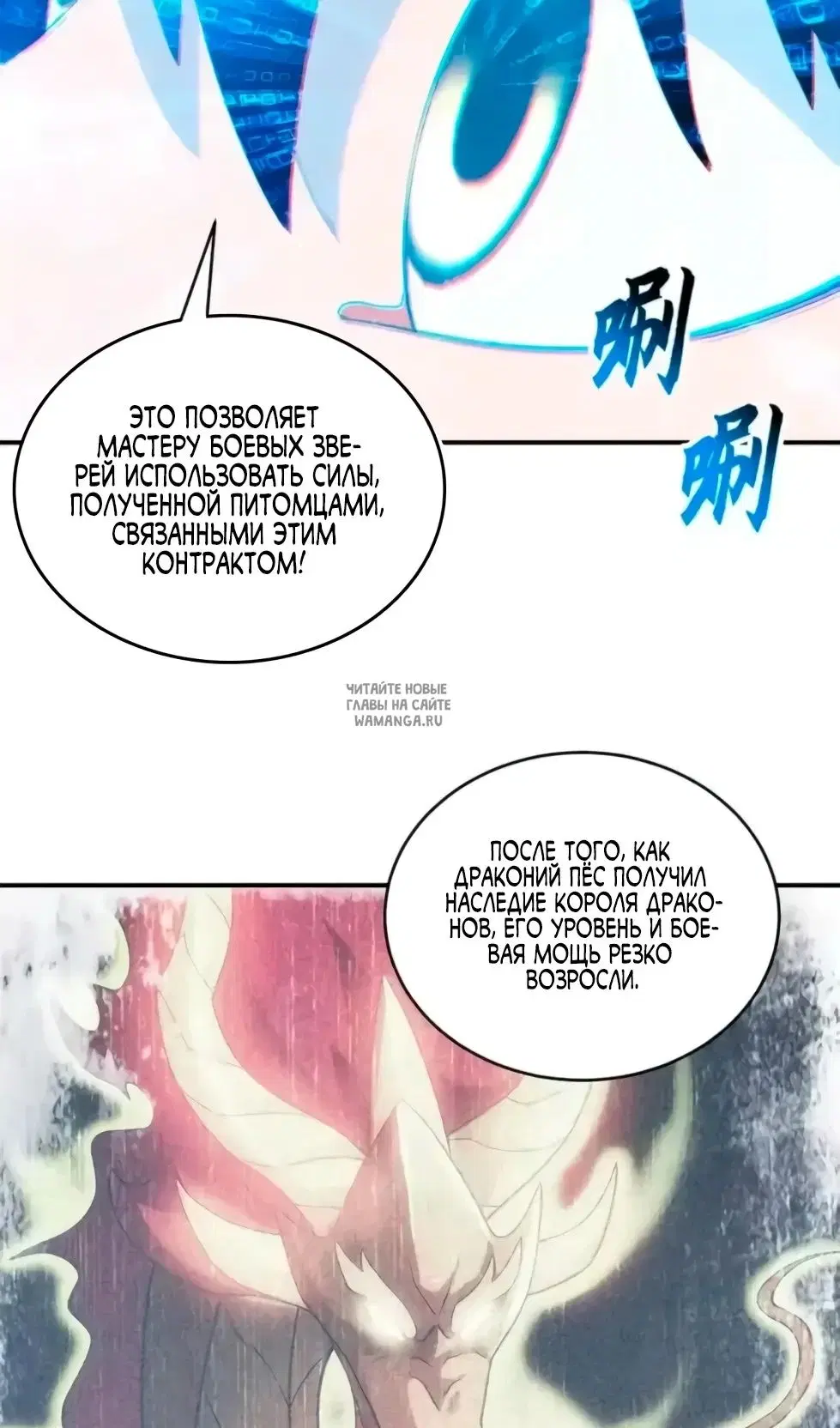 Page 31.000