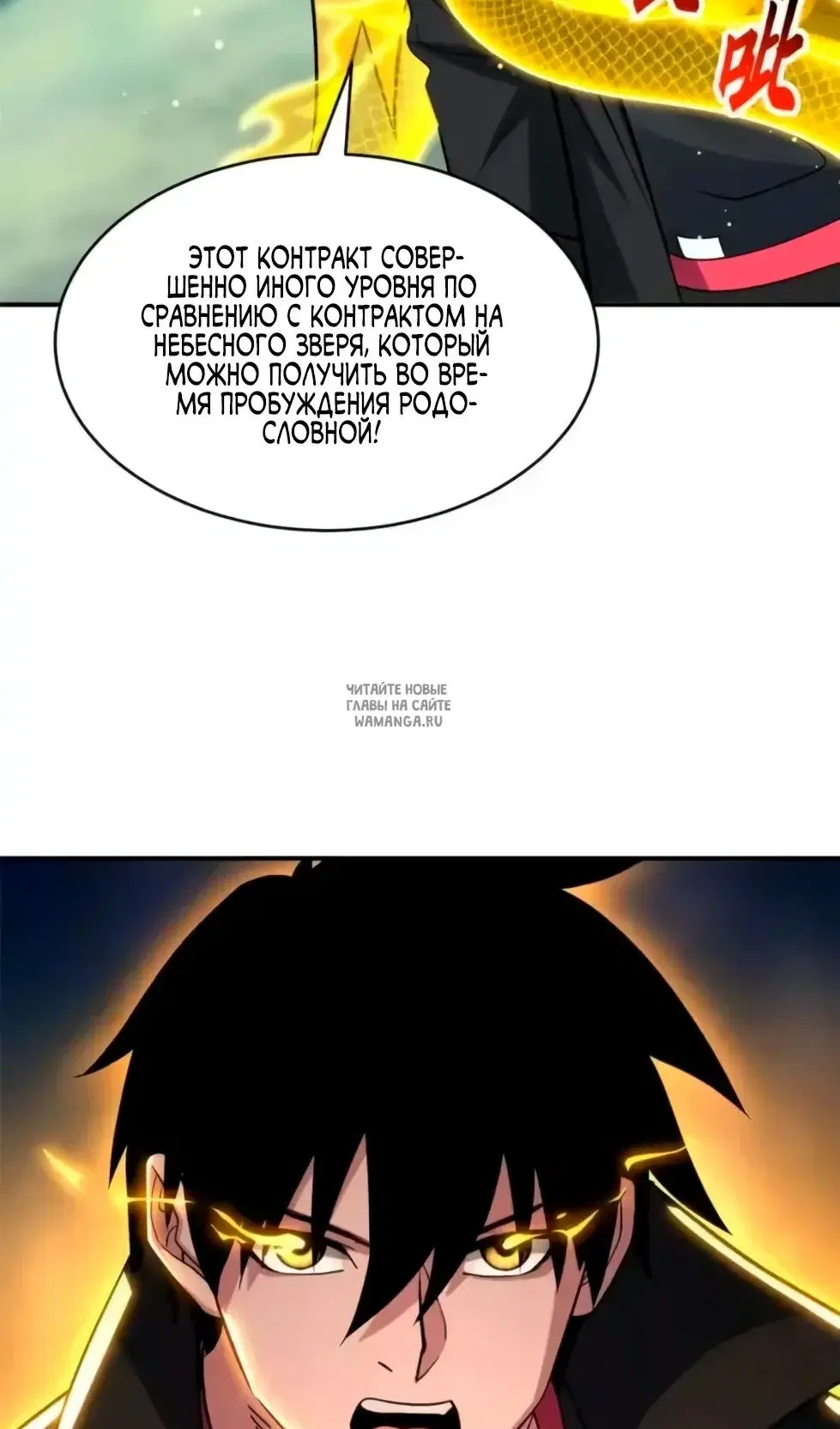 Page 51.000