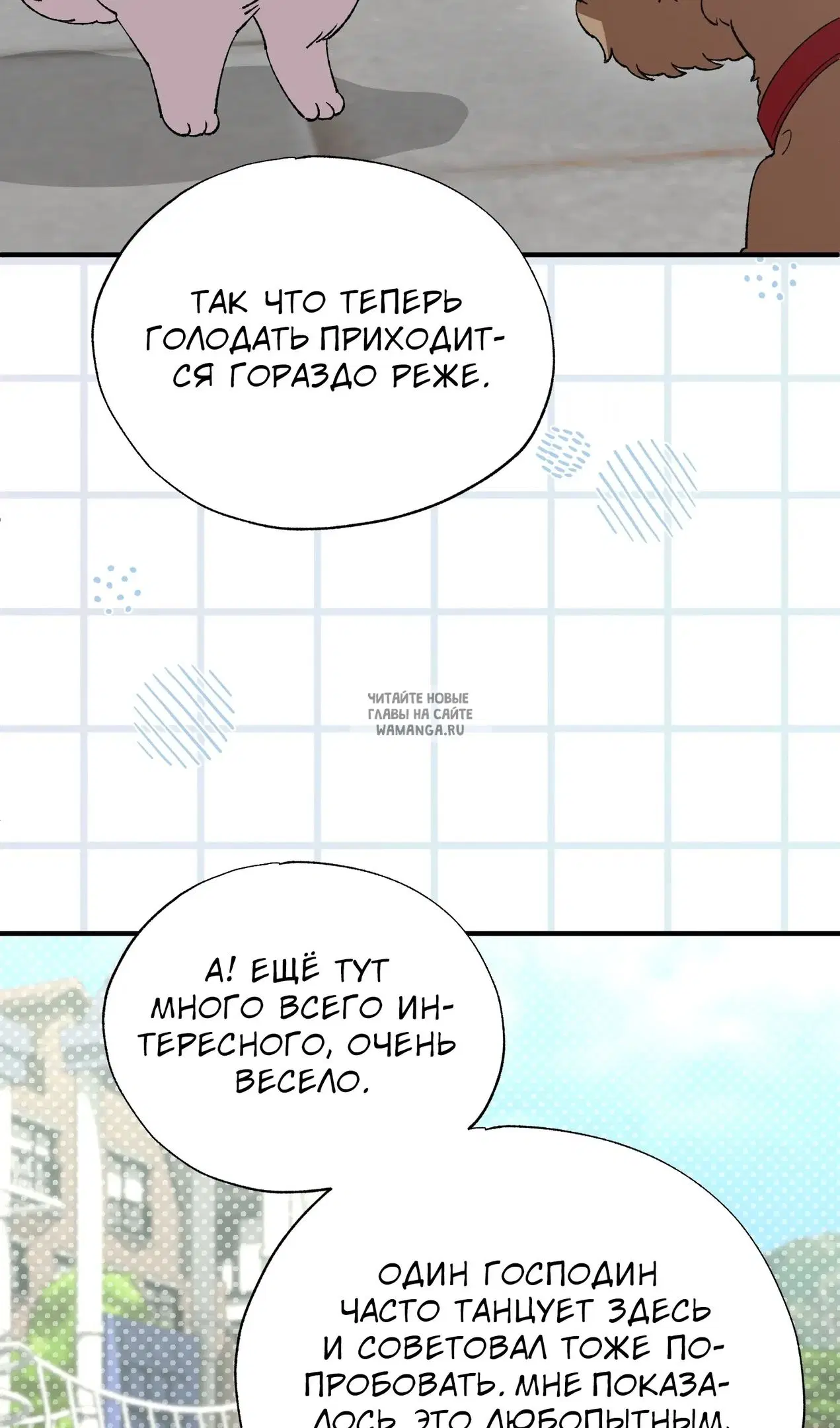Page 17.000