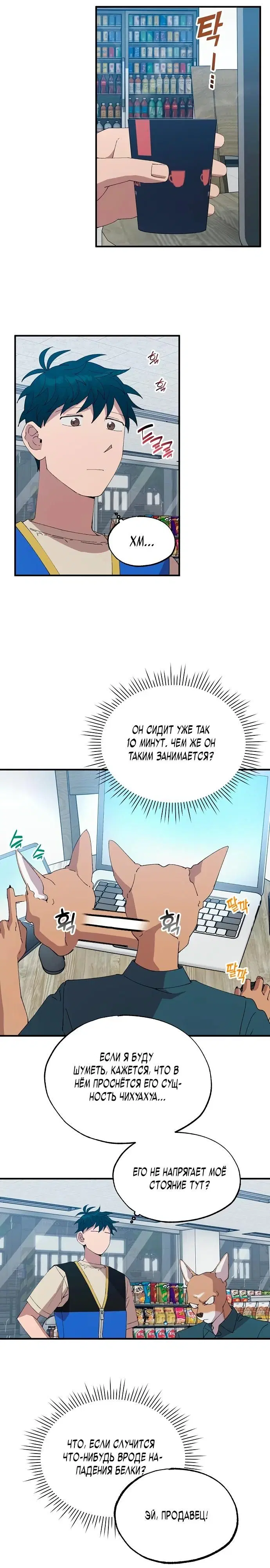 Page 11.000