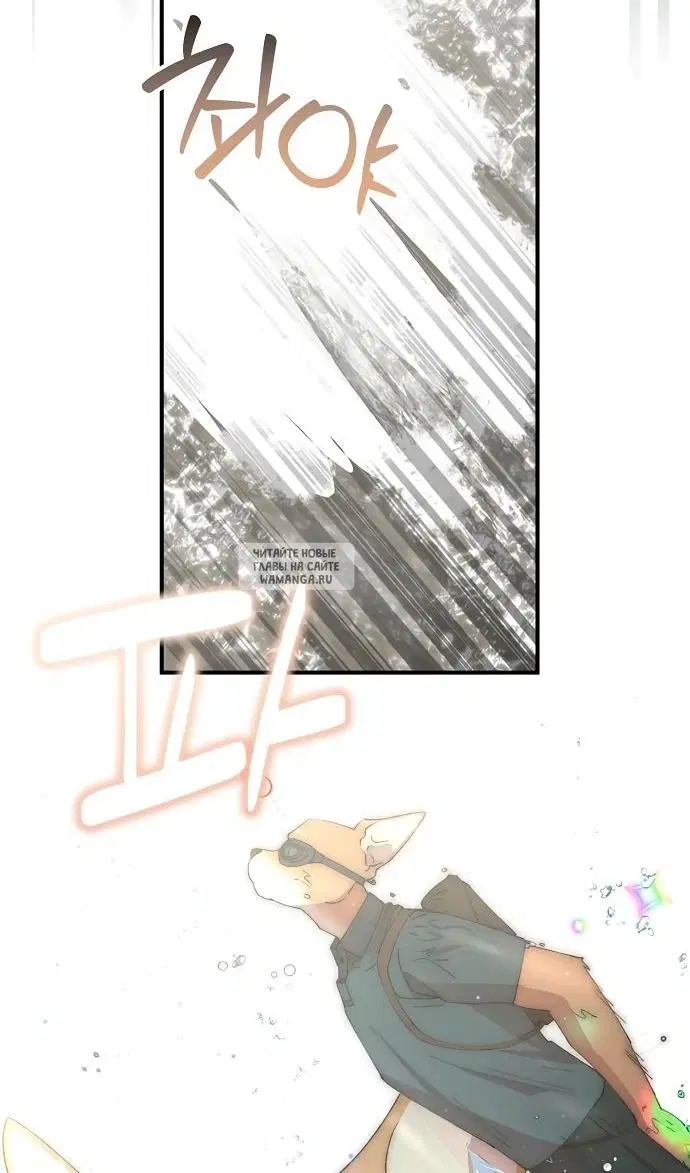 Page 26.000