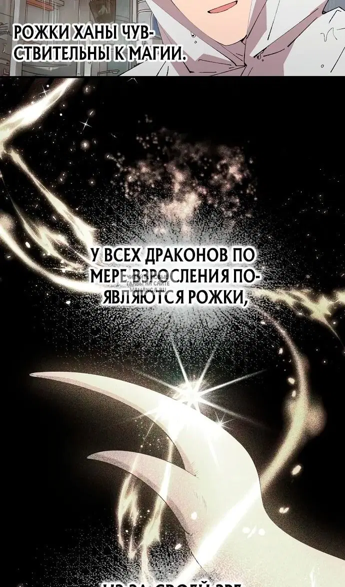 Page 26.000