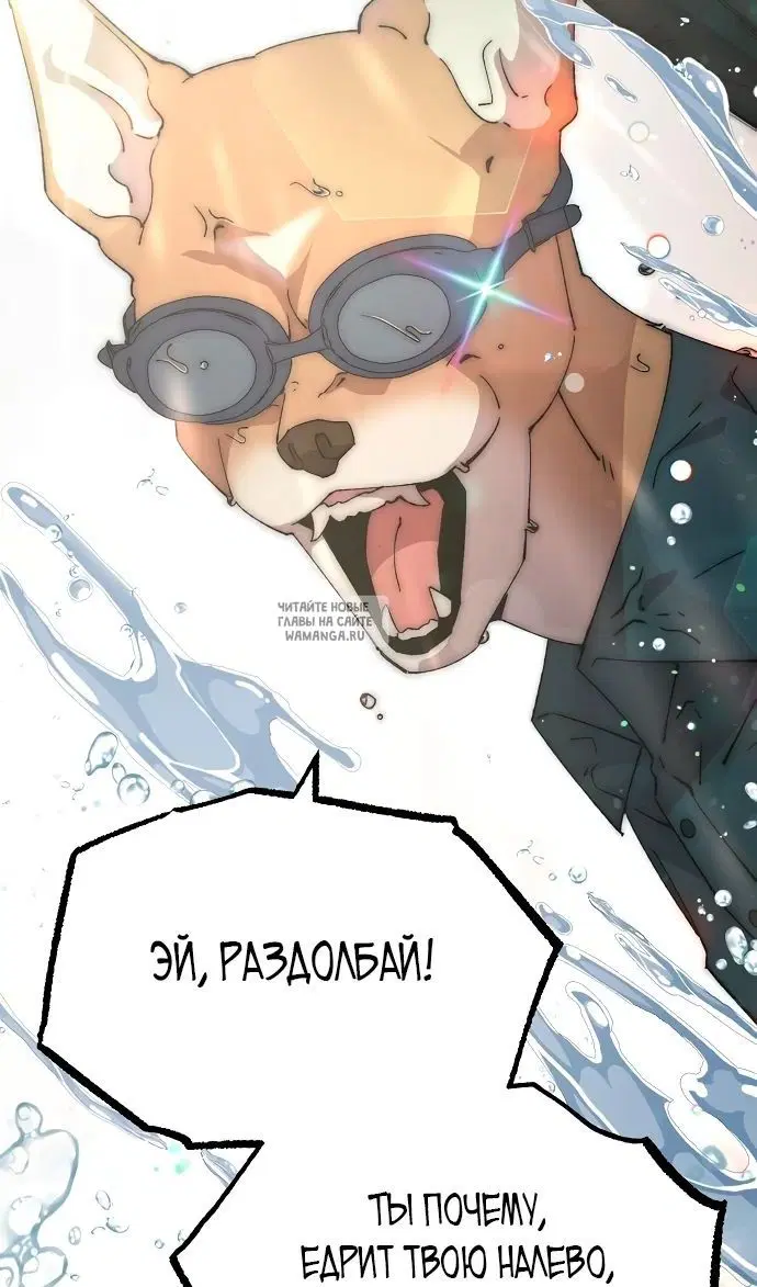 Page 27.000
