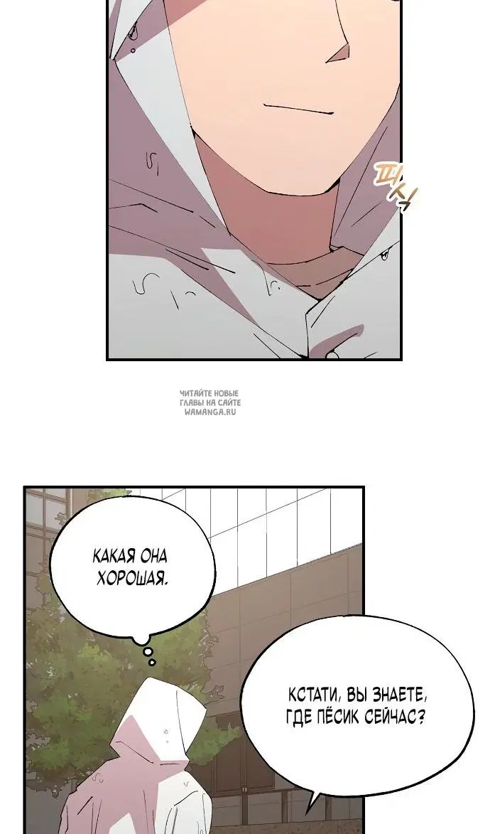 Page 21.000