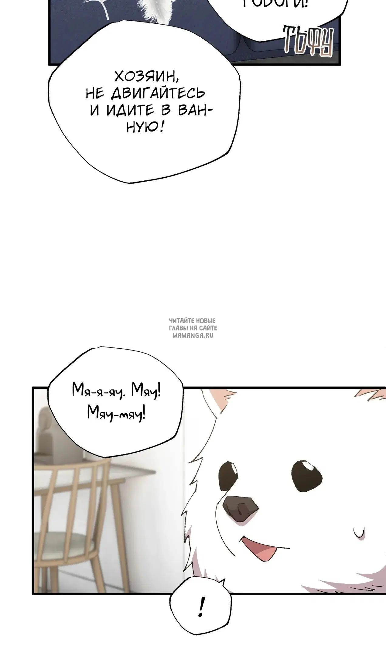 Page 36.000
