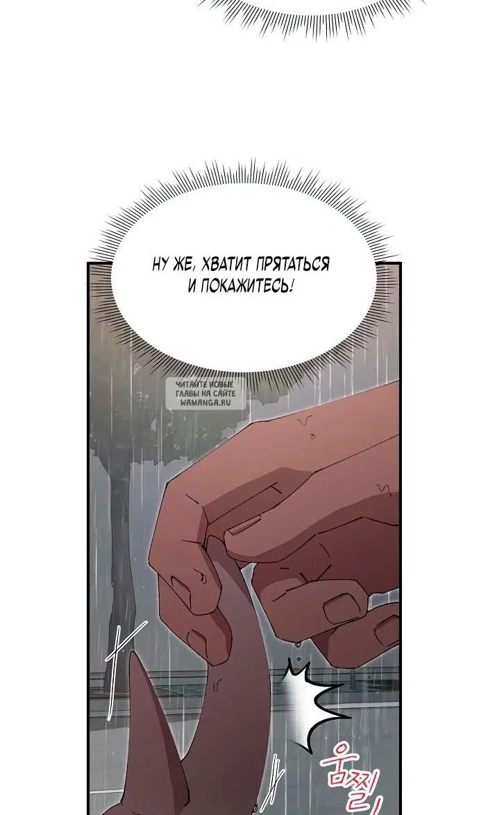 Page 31.000