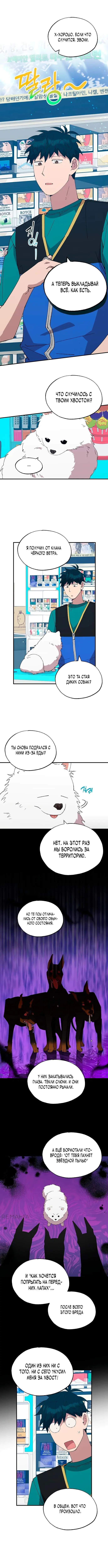 Page 3.000