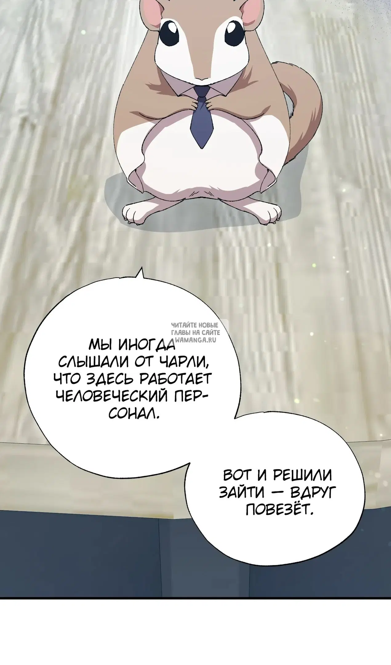 Page 33.000