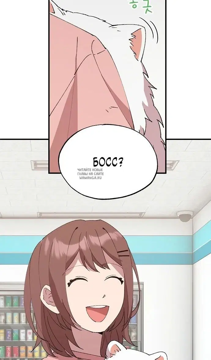 Page 46.000