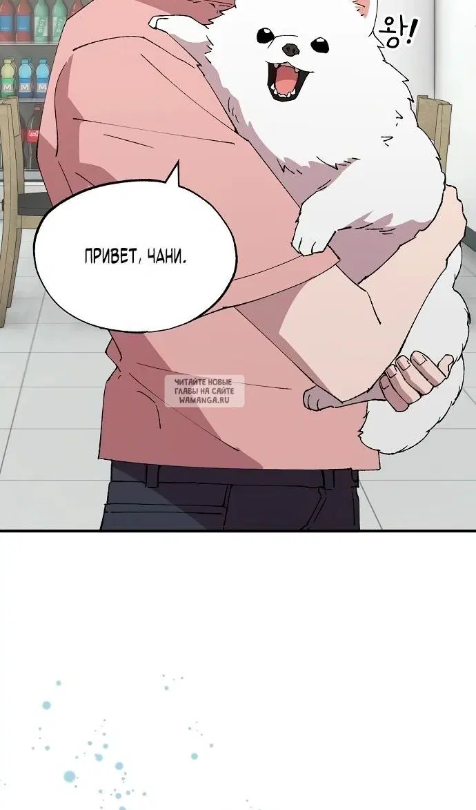 Page 47.000