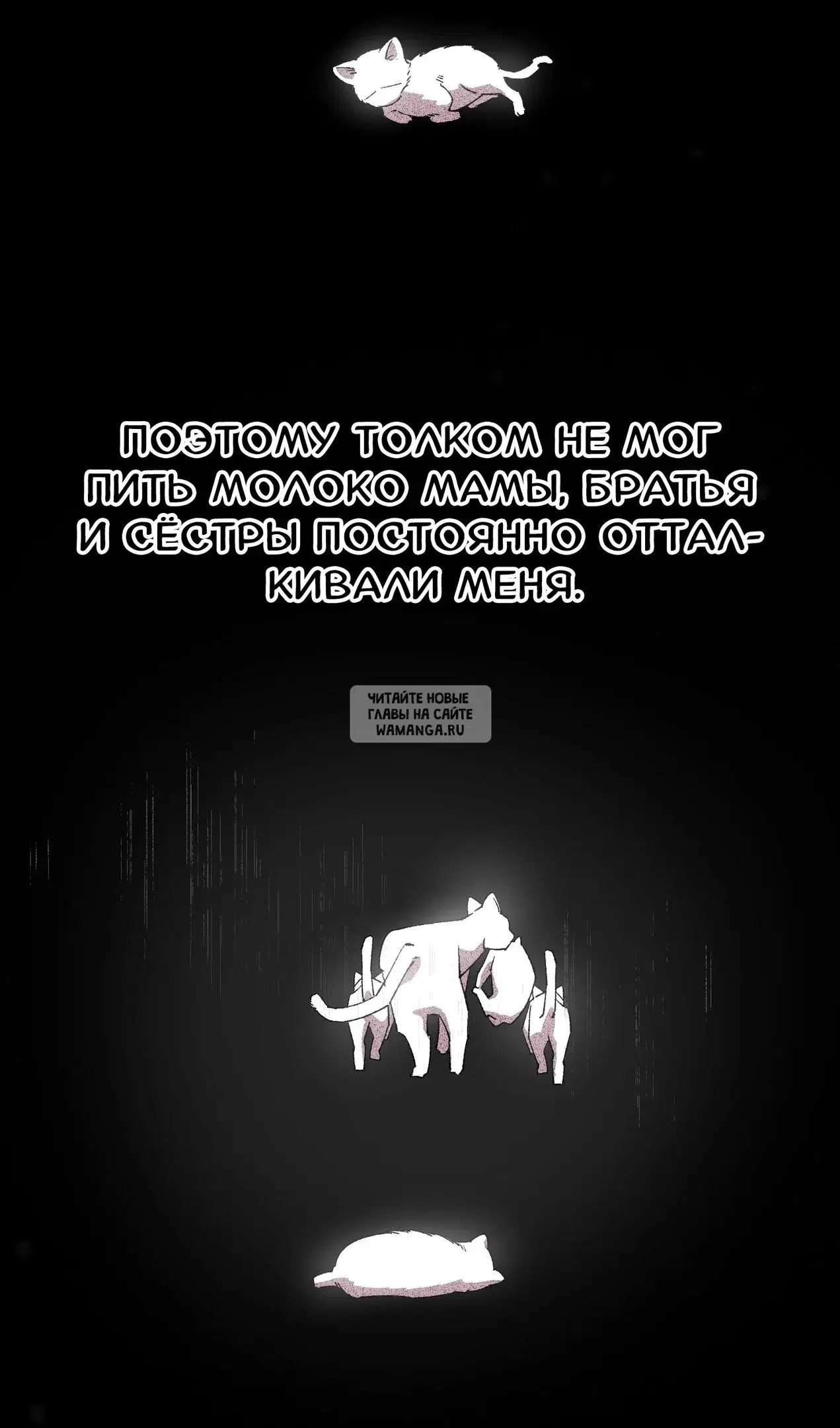 Page 49.000