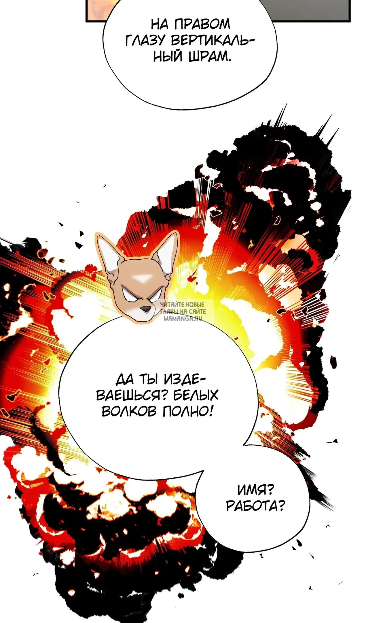 Page 42.000