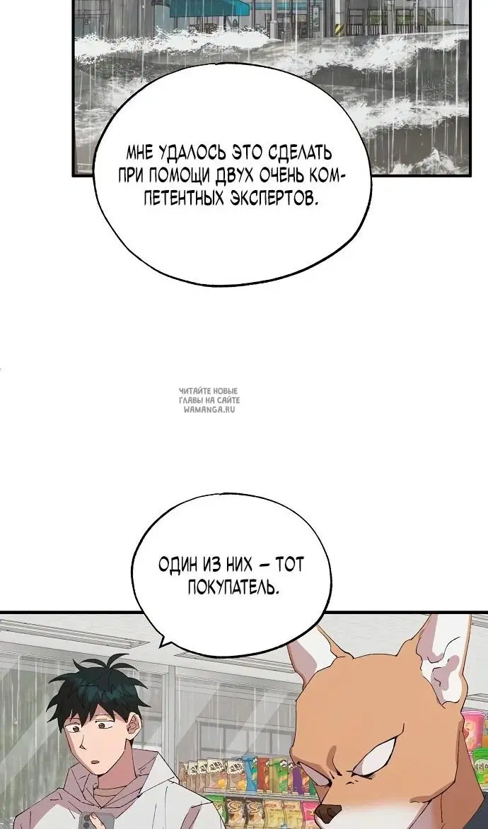 Page 43.000
