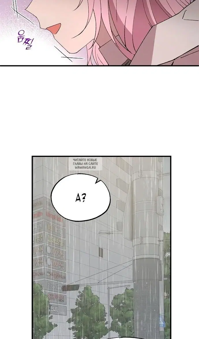 Page 55.000