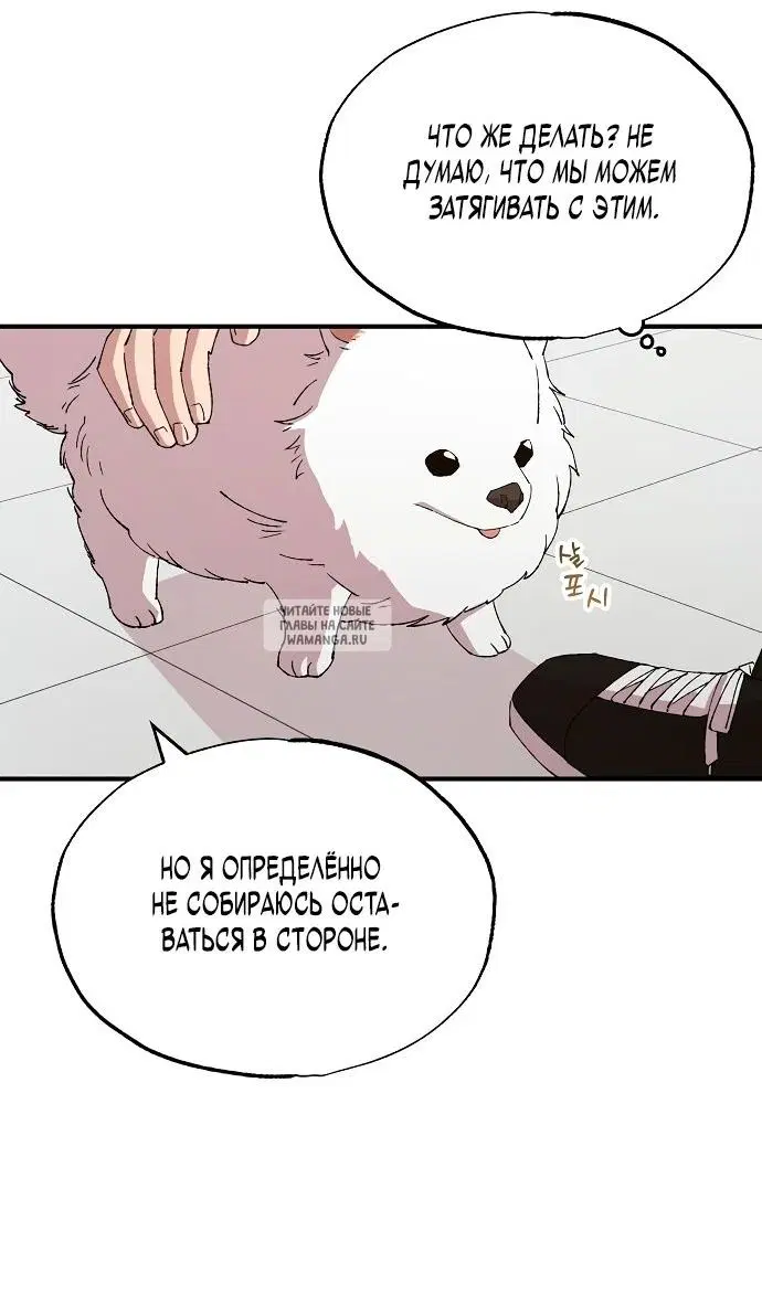 Page 50.000