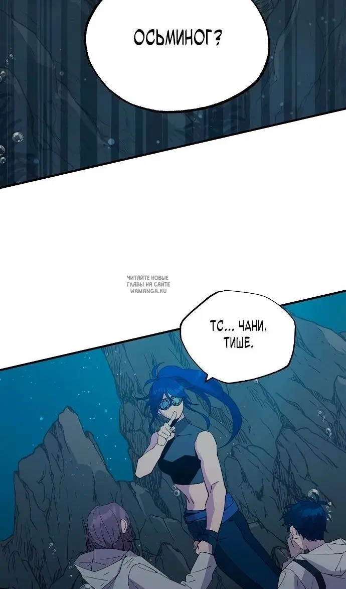 Page 51.000