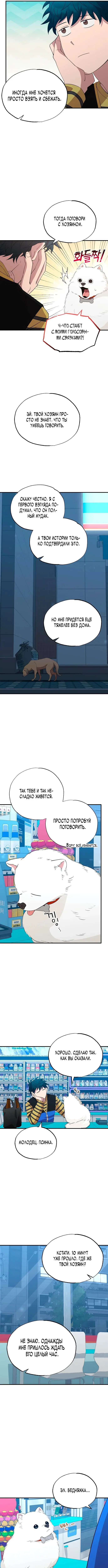 Page 5.000