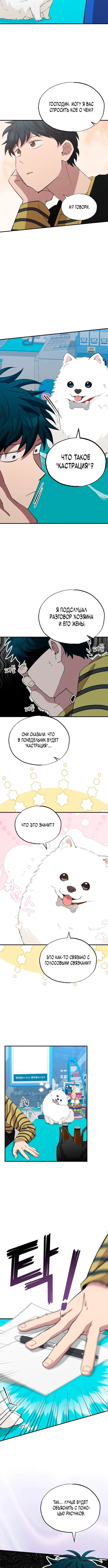 Page 5.001