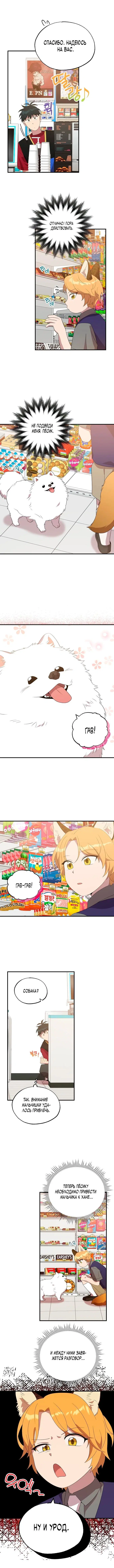 Page 5.001