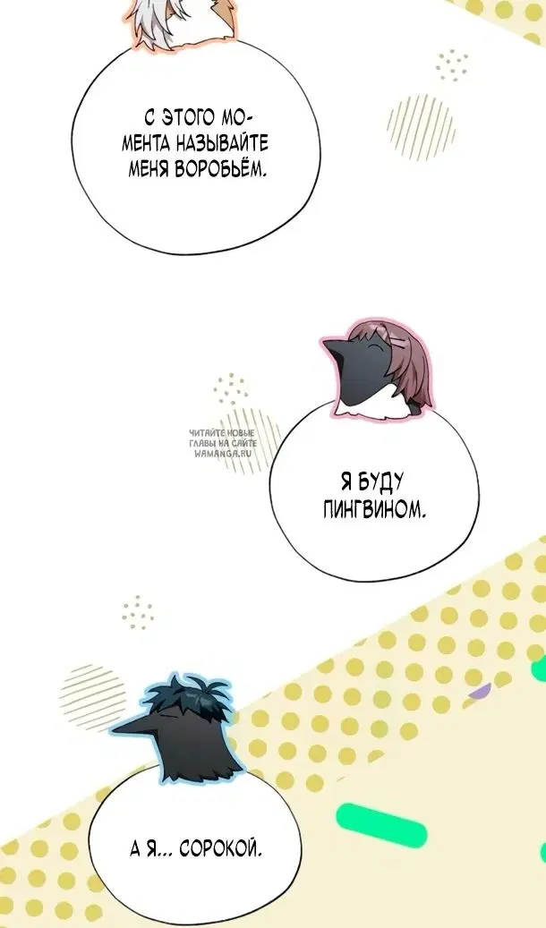 Page 53.000