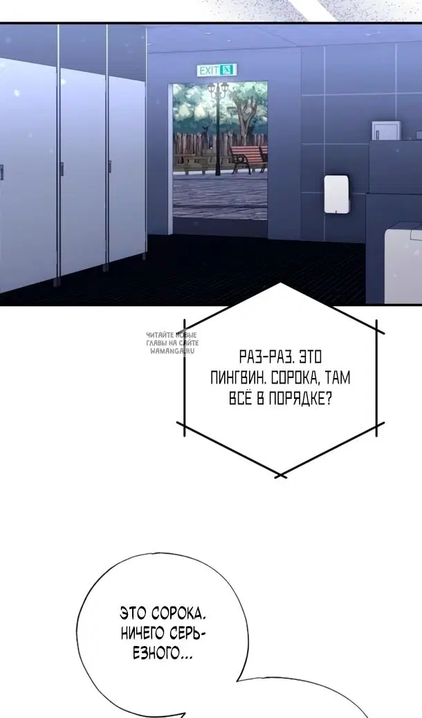 Page 64.000