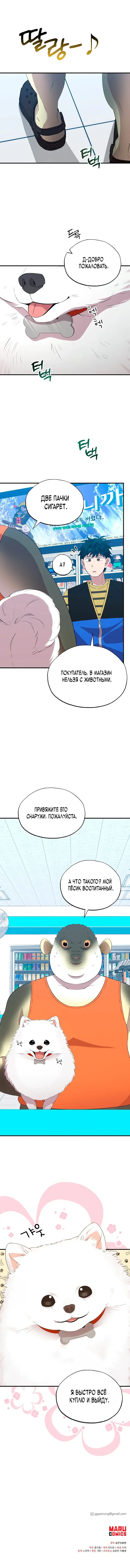 Page 6.000
