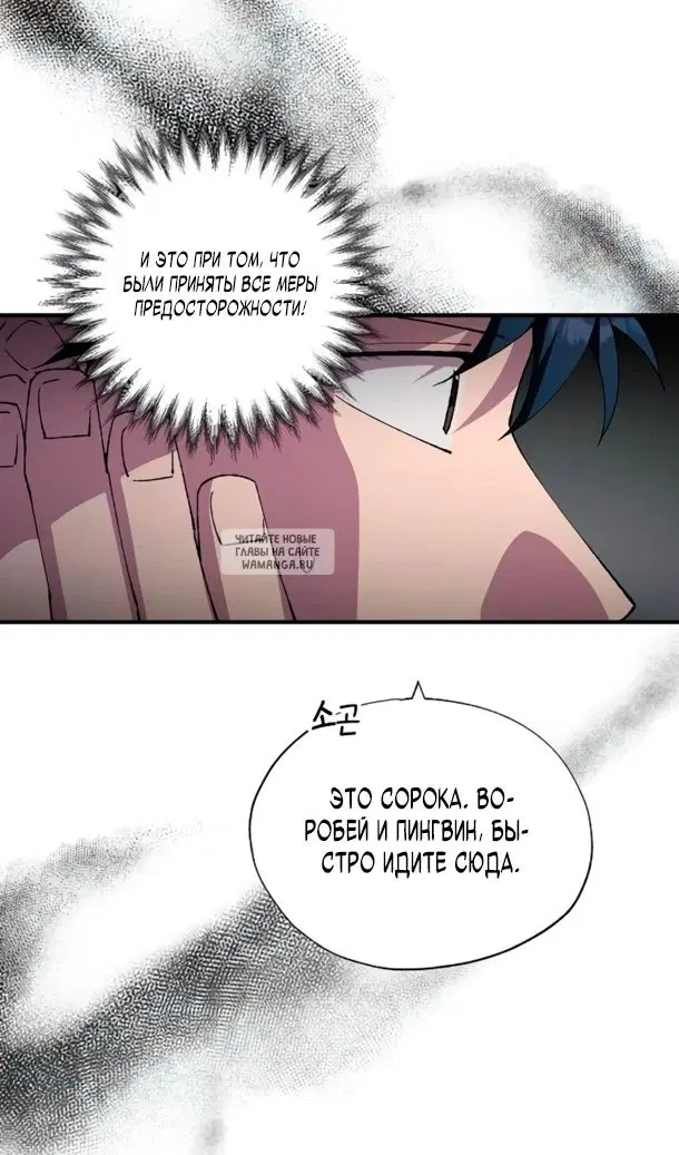 Page 81.000