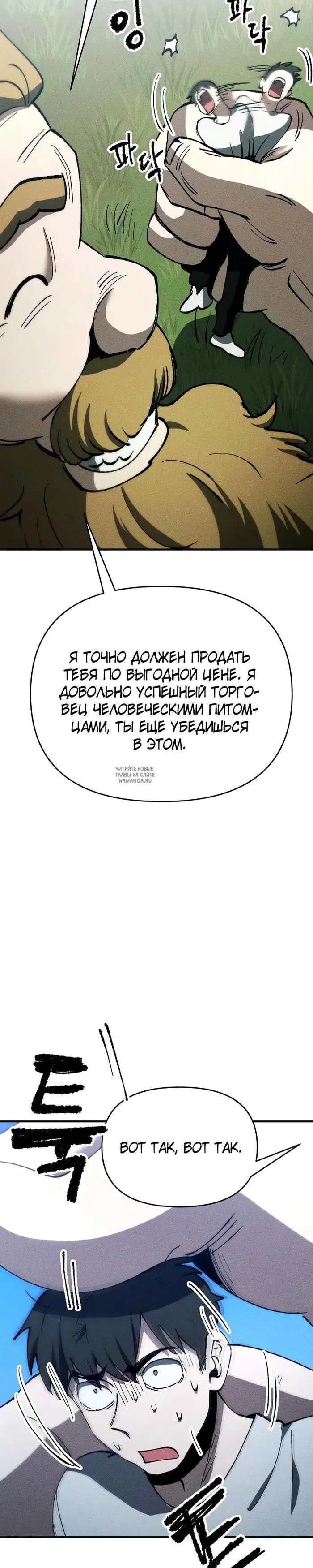 Page 28.000